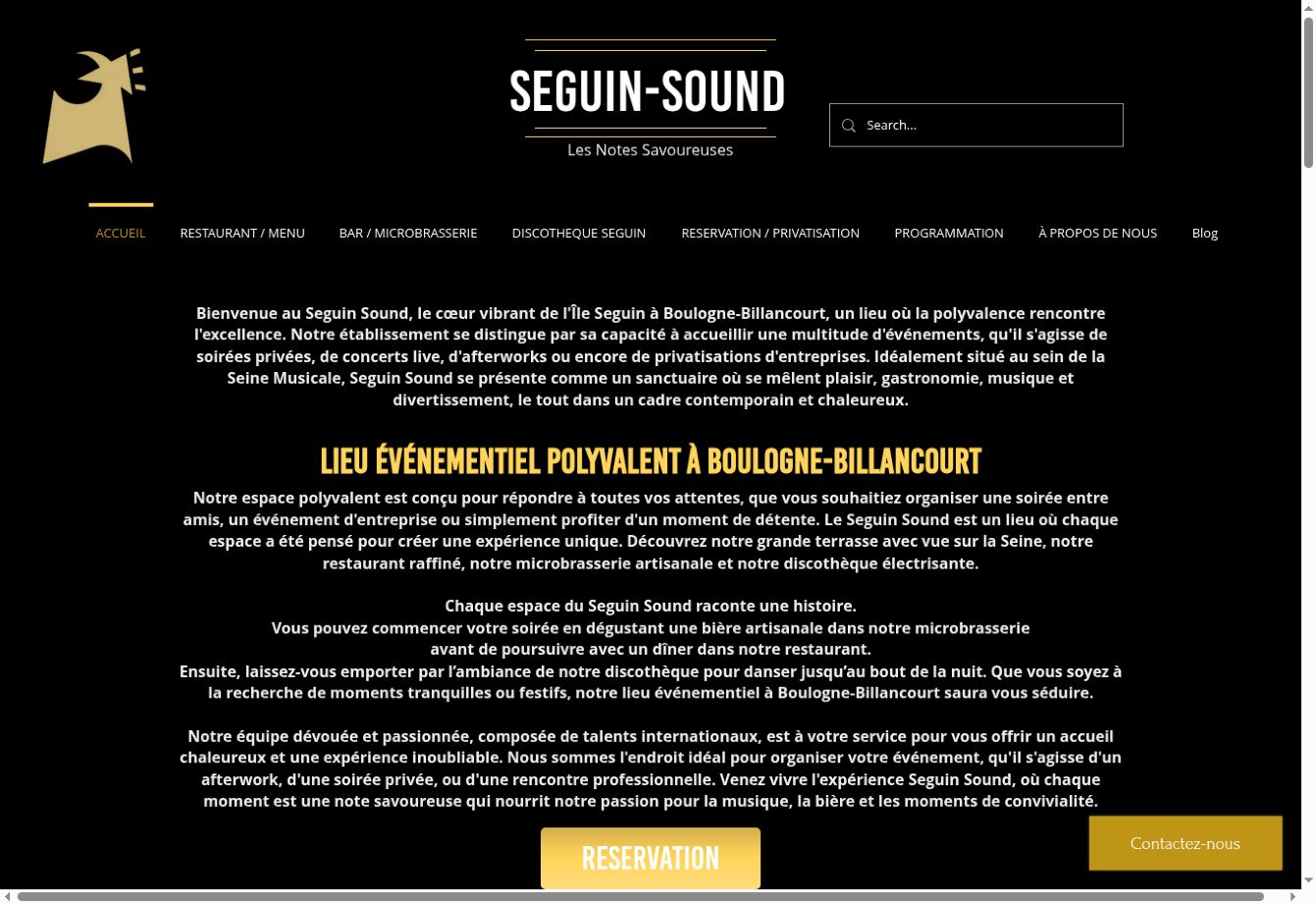 Accueil du site d’origine Seguin Sound : fond noir, navigation et présentation textuelle